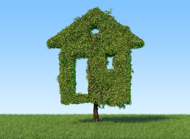 iStock green initiatives home.jpg