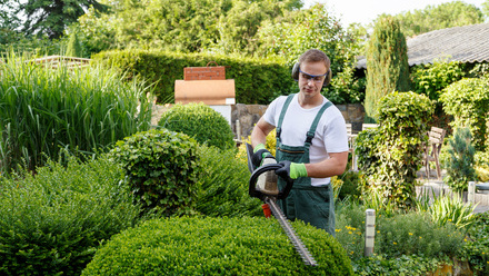 iStock landscape gardener3.jpg